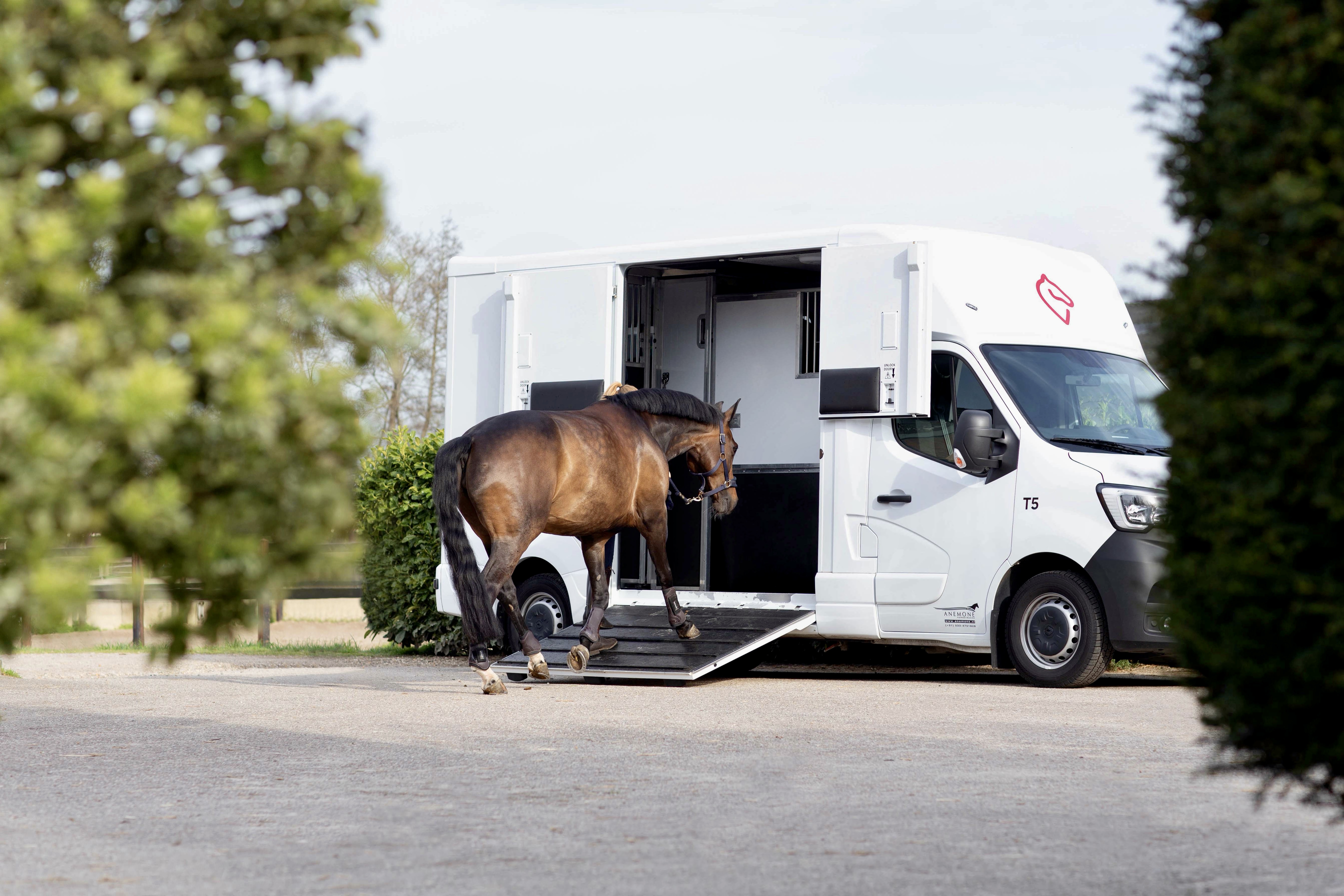 Paardenwagen te huur